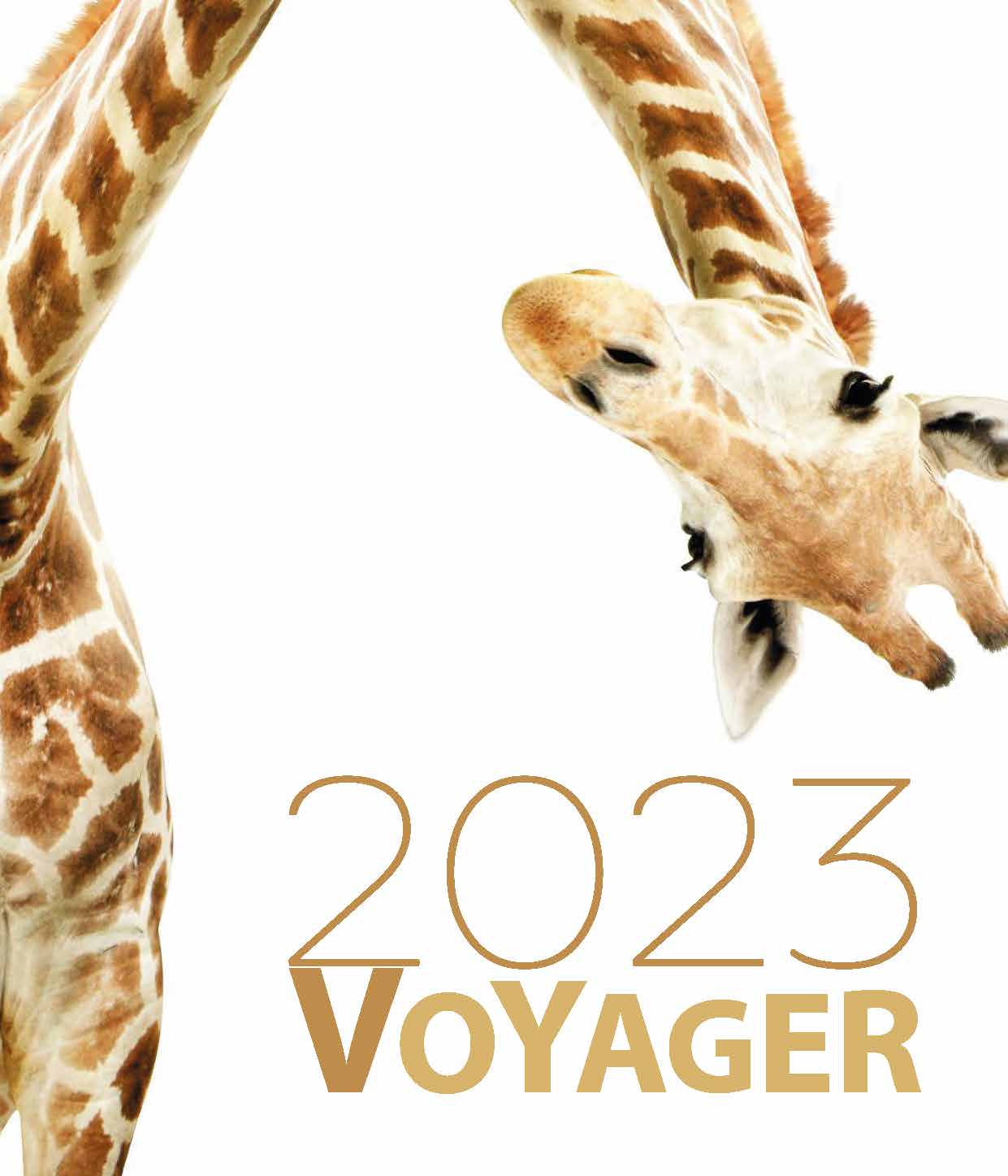 voyage 2023